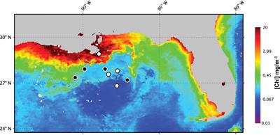 Quantifying Per-Cell Chlorophyll a in Natural Picophytoplankton Populations Using Fluorescence-Activated Cell Sorting
